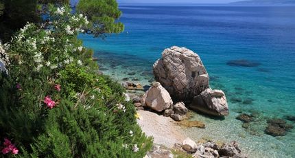 Verborgen strandje met helderblauw water in Kroatië