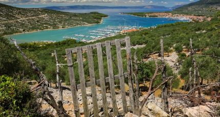 Groene baai in het Kroatische kustlandschap