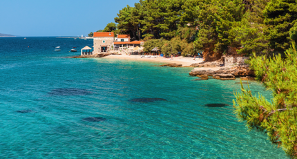 Rustige baai met pijnbomen en helderblauwe zee op Brac in Kroatië