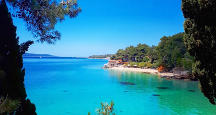 Kristalheldere turquoise baai omringd door pijnbomen op het eiland Brač